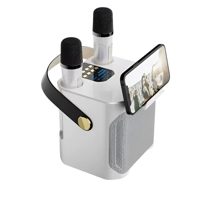 Krachtige Bluetooth-karaokespeaker met twee microfoons