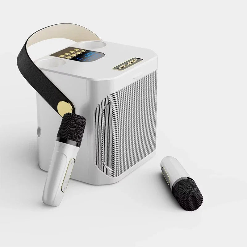 Krachtige Bluetooth-karaokespeaker met twee microfoons