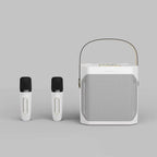 Krachtige Bluetooth-karaokespeaker met twee microfoons