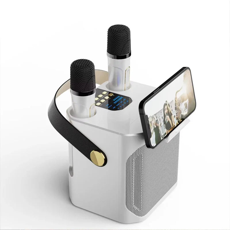 High-power Bluetooth karaoke speaker with two microphones