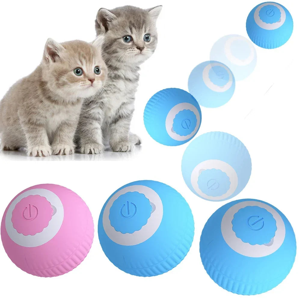 Slimme interactieve bal voor katten