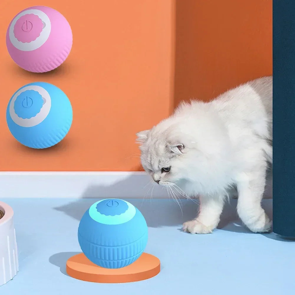 Slimme interactieve bal voor katten