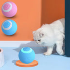 Slimme interactieve bal voor katten