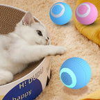 Slimme interactieve bal voor katten