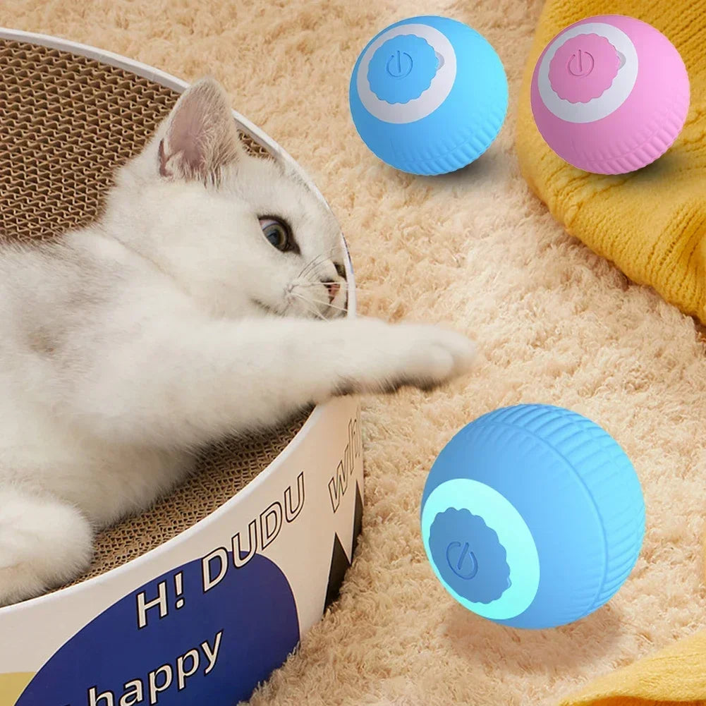 Slimme interactieve bal voor katten