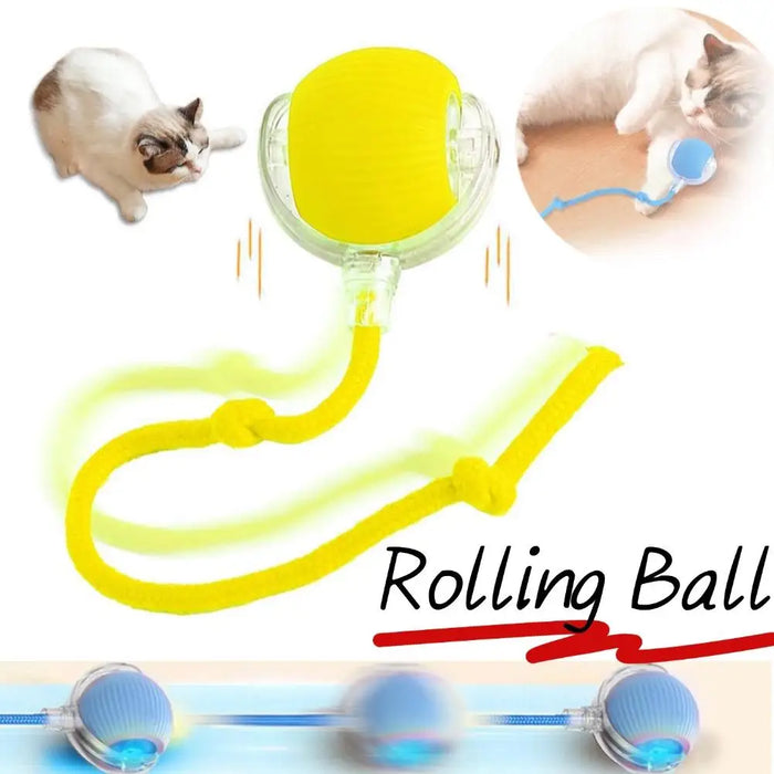 Slimme en interactieve rollende bal voor katten