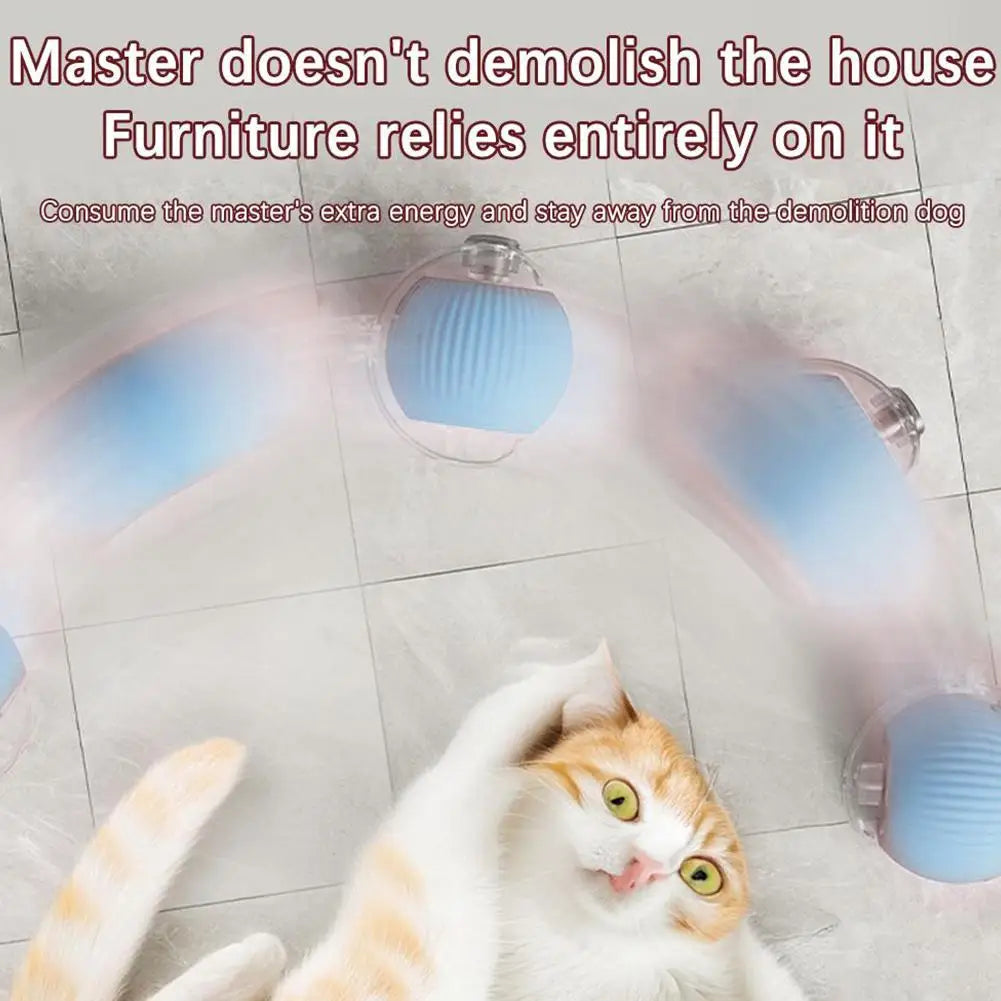 Slimme en interactieve rollende bal voor katten