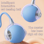 Slimme en interactieve rollende bal voor katten