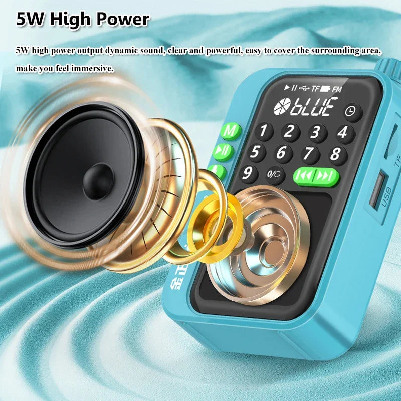 Blue rechargeable portable mini FM radio
