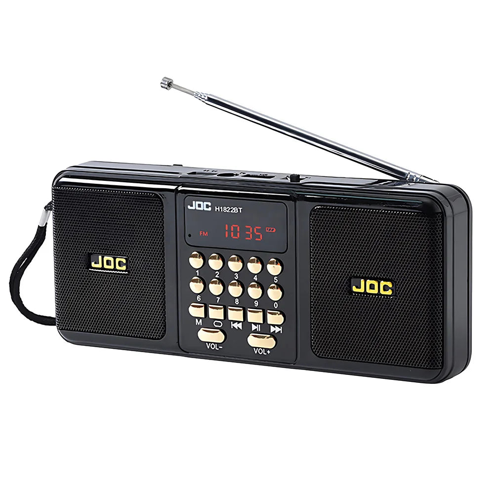 Black portable Bluetooth speaker with FM radio