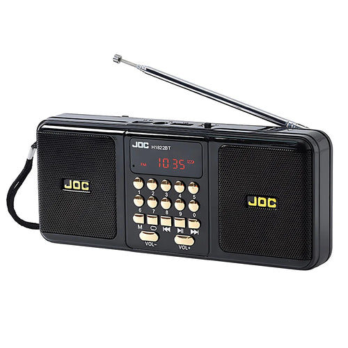 Enceinte portable avec Bluetooth et radio FM, noire