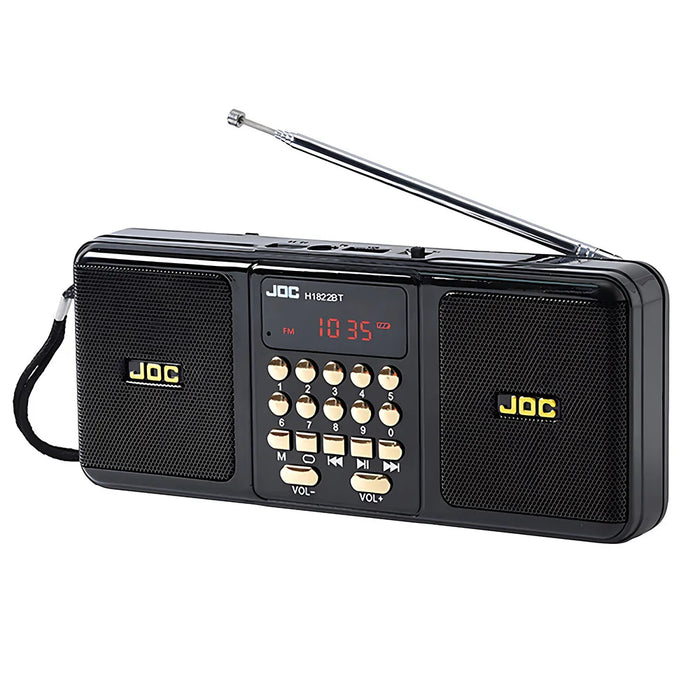 Draagbare luidspreker met Bluetooth en FM-radio, zwart