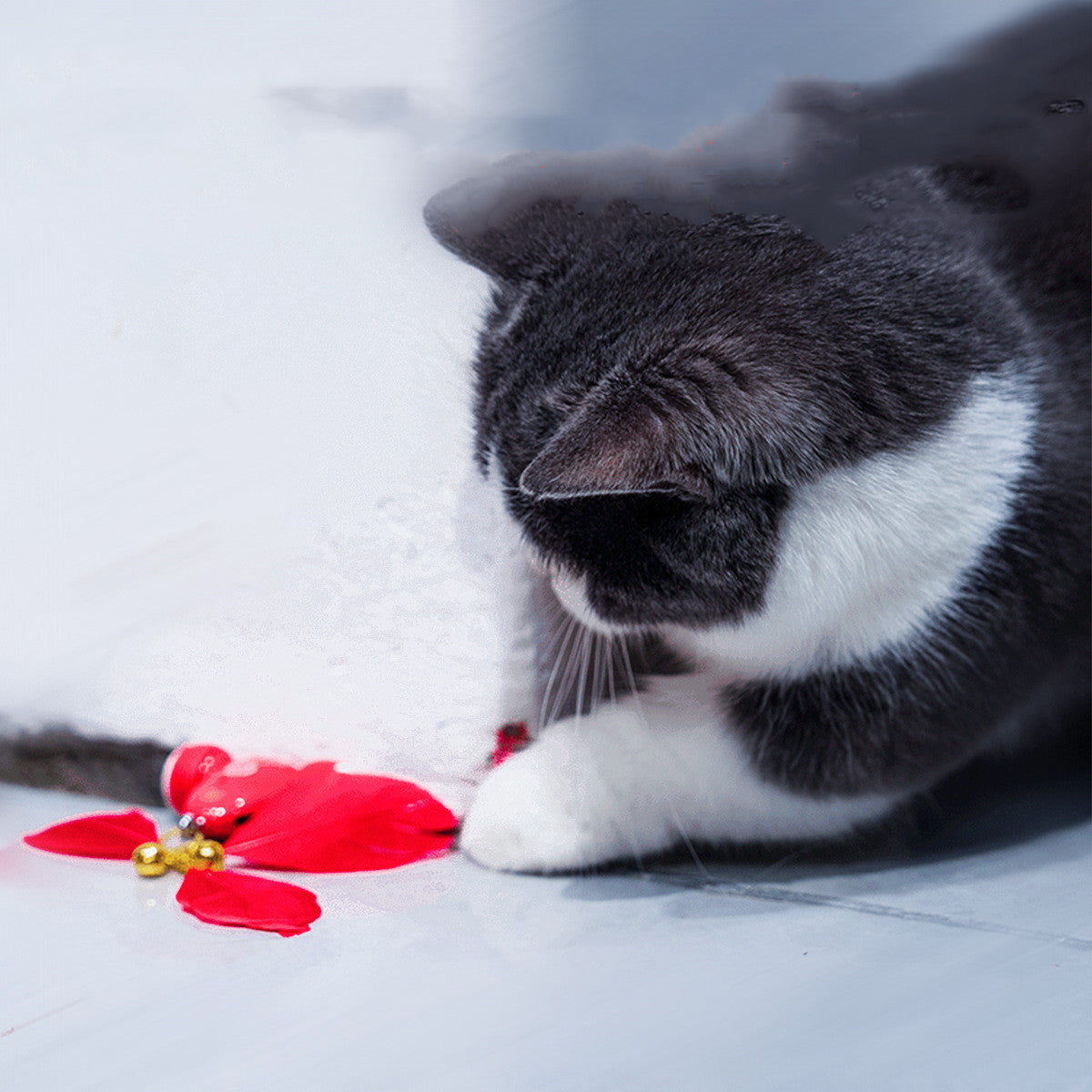 Ensemble de jouets intelligents pour chats