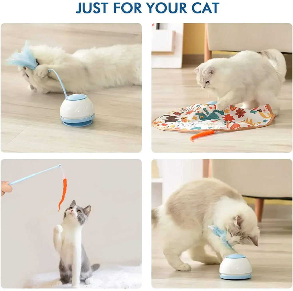 Slim kattenspeelgoed