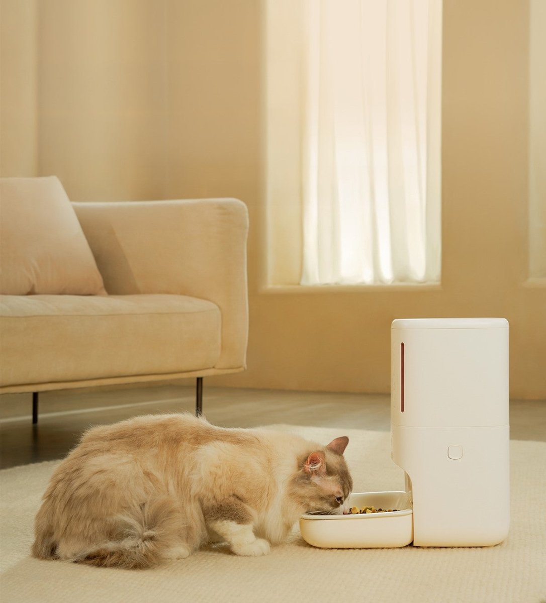 Smart automatic pet feeder with privacy camera